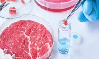 Лабораторный анализ пищевых продуктов по СанПиН в Ишимбае в октябре
