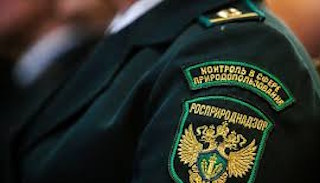 Подготовка к проверке Росприроднадзора в Ишимбае от ПромМир-Шмб, стоимость услуги от 20282 руб.